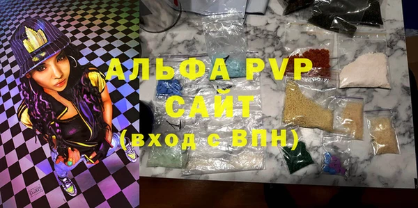 стафф Вязьма