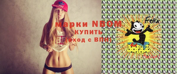 стафф Вязьма