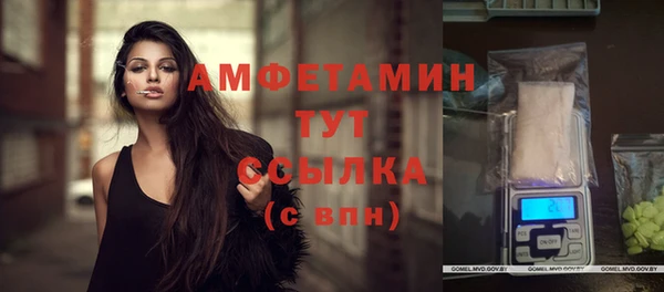 стафф Вязьма