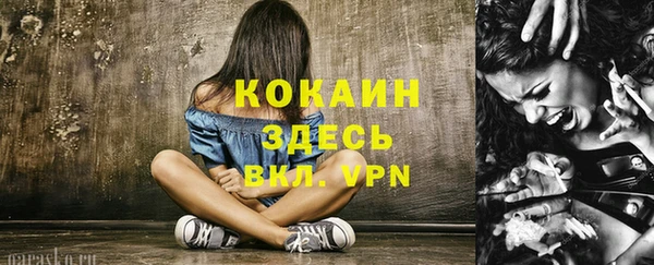 стафф Вязьма