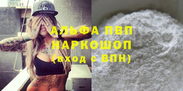 стафф Вязьма