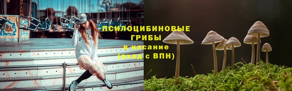 соль курить ск Вяземский